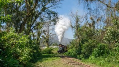 Expresso de Páscoa do Trem Caiçara: Morretes e Antonina terão turismo temático em abril