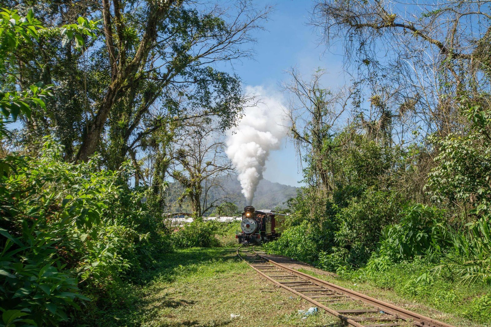 Expresso de Páscoa do Trem Caiçara: Morretes e Antonina terão turismo temático em abril