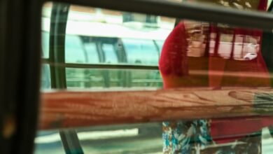 Consolidação de leis sobre direitos das mulheres será votada na Câmara