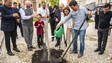 Novo parque de Curitiba vai homenagear o papa Francisco
