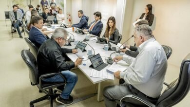 Cannabis medicinal em Curitiba: distribuição de remédios ganha aval da CCJ