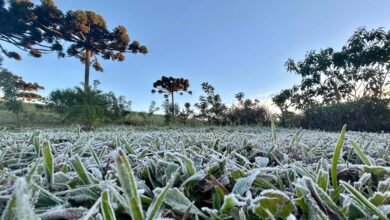 Primeira onda de frio chega ao Paraná semana que vem com termômetros perto de 0ºC