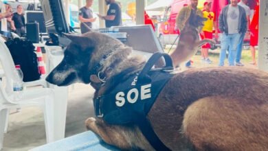 Cãominhada da PPPR é adiada para 7 de junho; inscrições são prorrogadas