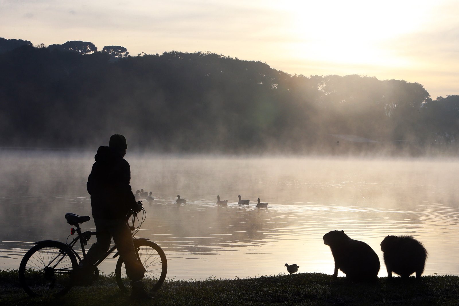 Após temperatua mais baixa de 2025 na quinta, termômetros devem cair ainda mais no Paraná