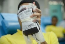 Projeto de lei sugere converter multas de trânsito em doação de sangue