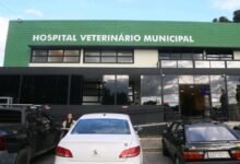 Proposta a comunicação obrigatória de suspeita de maus-tratos a pets