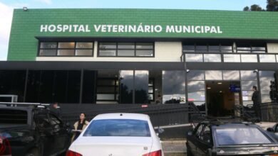 Proposta a comunicação obrigatória de suspeita de maus-tratos a pets