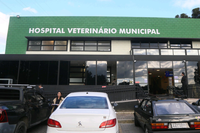 Proposta a comunicação obrigatória de suspeita de maus-tratos a pets